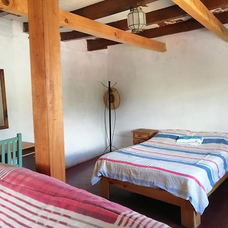 Hostalito Casa Alebrije غواناخواتو المظهر الخارجي الصورة