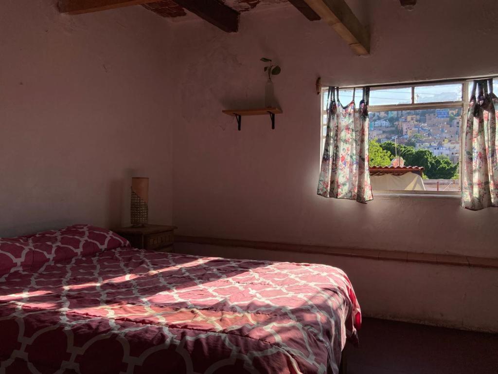 Hostalito Casa Alebrije غواناخواتو المظهر الخارجي الصورة