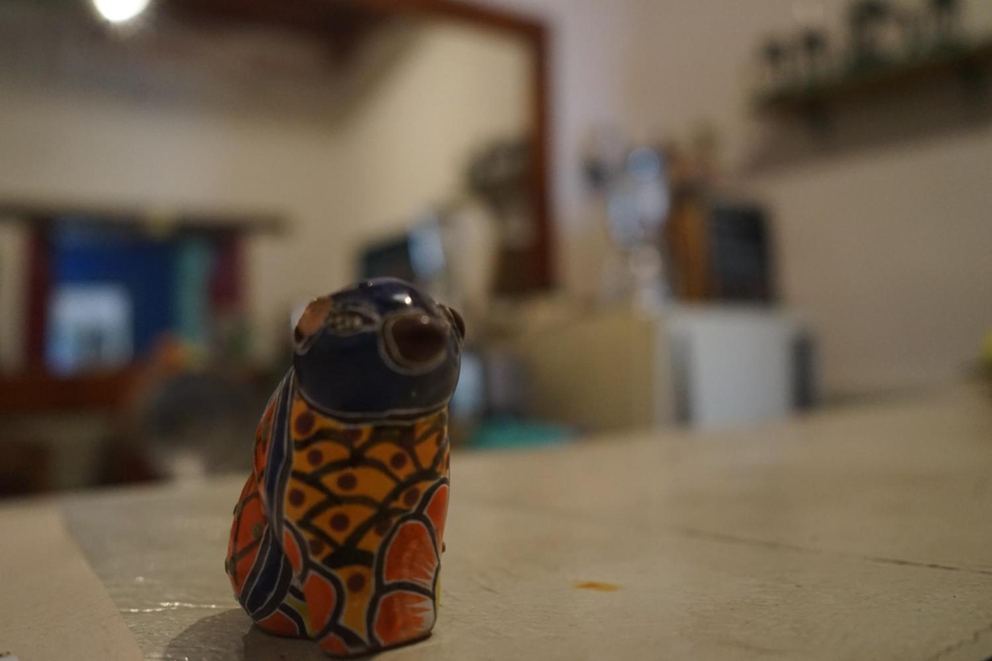 Hostalito Casa Alebrije غواناخواتو المظهر الخارجي الصورة
